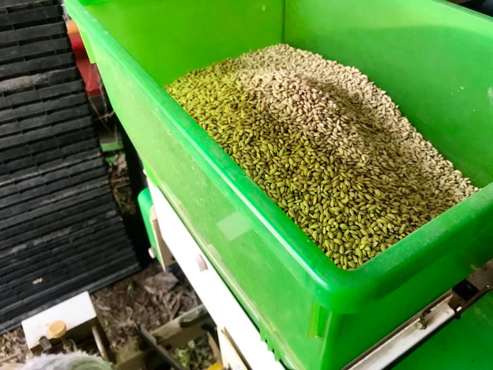 種籾をセットする箱