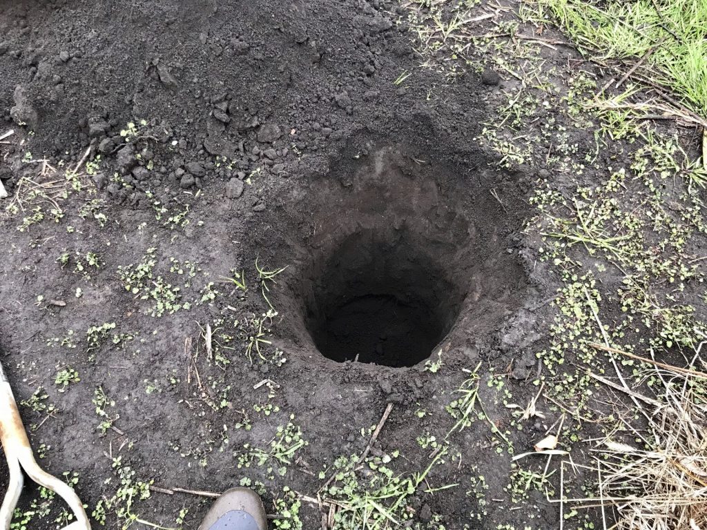 芋の地中保存のためにまず穴を掘りました