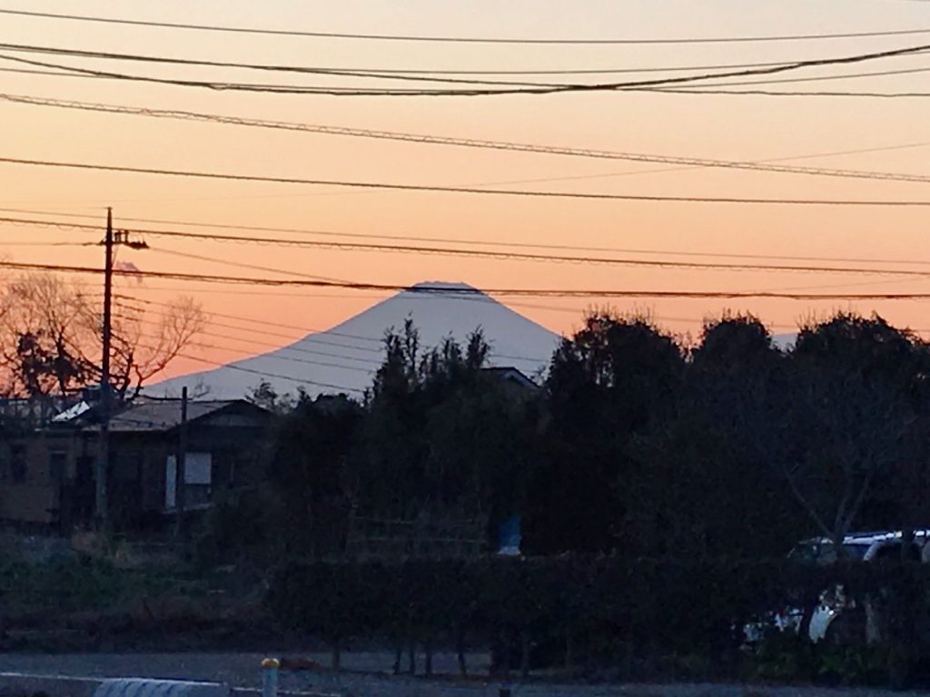 作業が終わる頃には日が傾いて、富士山のシルエットが夕日に映えます