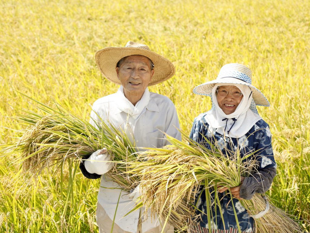 米農家夫婦の写真