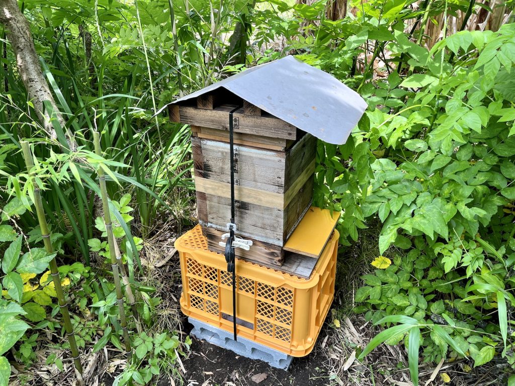 ミツバチの巣箱