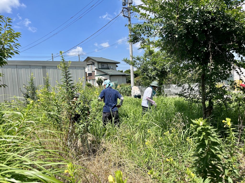 一農塾での観察風景