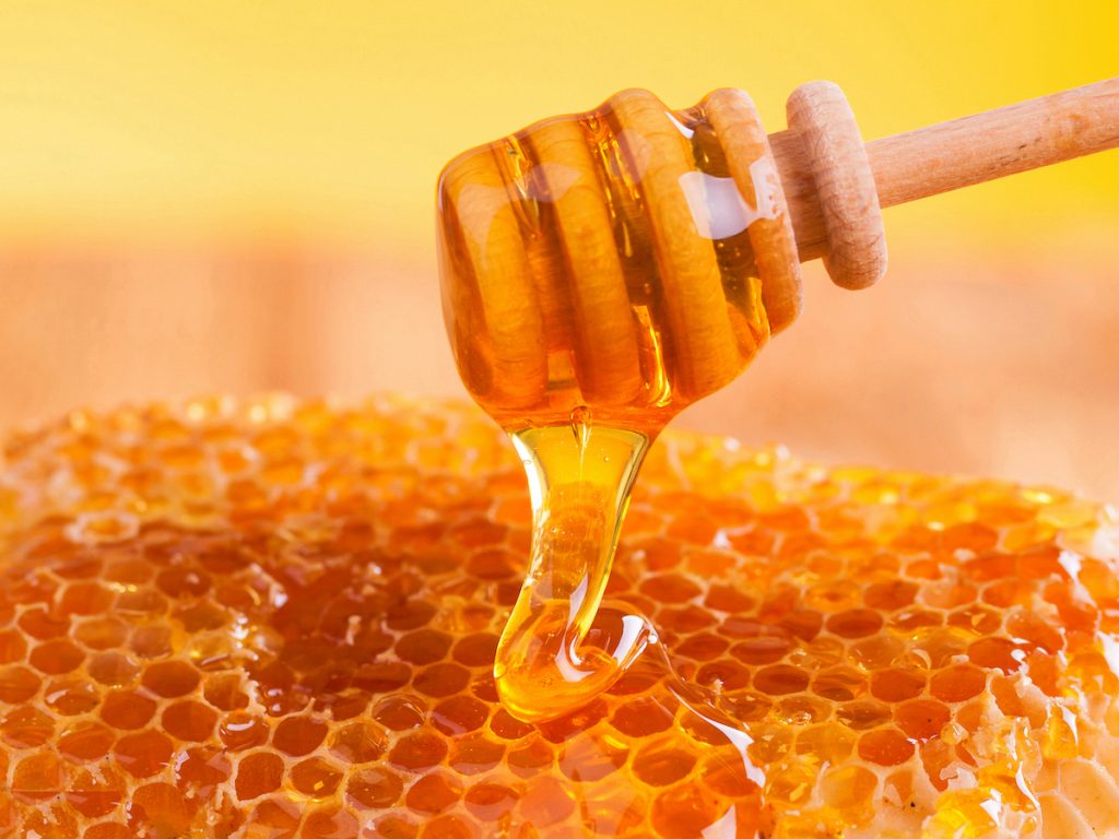 養蜂で得られる２つのもの